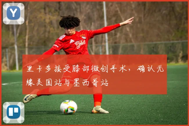 里卡多接受膝部微创手术，确认无缘美国站与墨西哥站